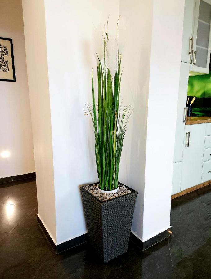 Luxury Apartment Aurora - Cod 0409 โอปาติยา ภายนอก รูปภาพ